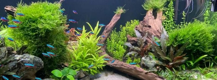 Jingye topení do akvária