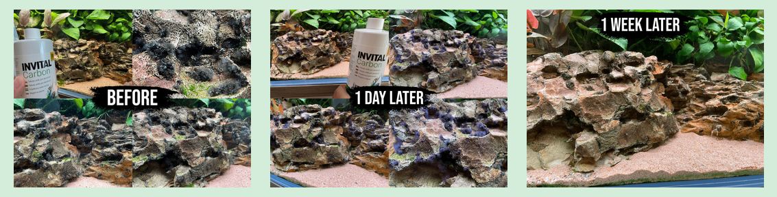 Invital Carbon - působení na řasy