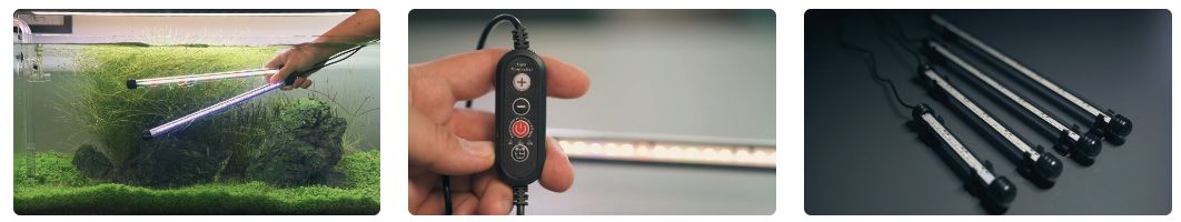 Denní noční osvětlení akvária