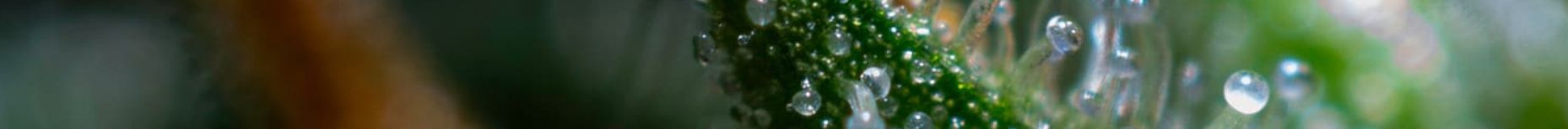  Dr.Roths Teichklar pro čistou vodu