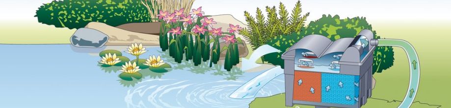 samospádové filtry pro jezírka