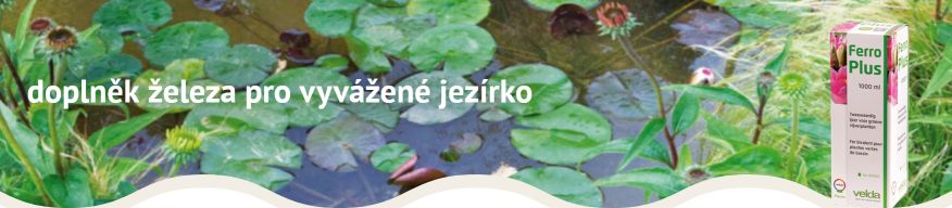 Hnojivo pro rostliny v jezírku