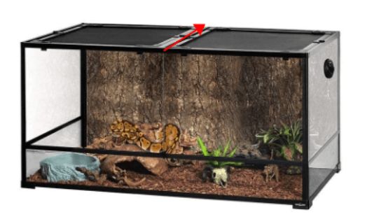 terárium s korkovým pozadím