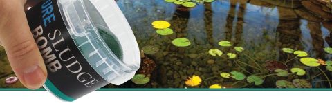 bakterie na dno jezírka