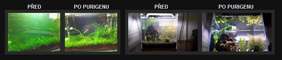 Výsledek použití Seachem Purigen