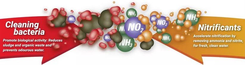 startovací bakterie do akvária