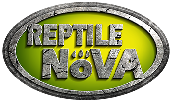 Reptile Nova