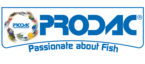 Prodac International