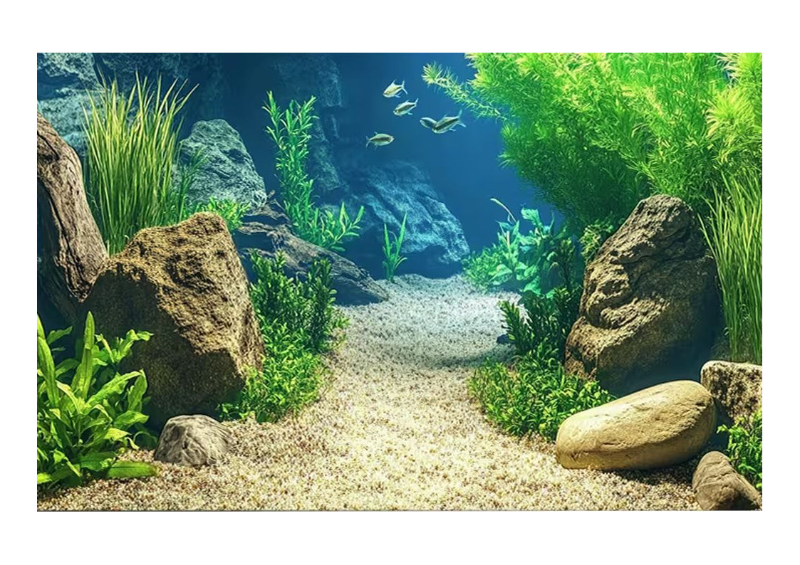 Rádce: Kdy použít který přípravek Tetra?