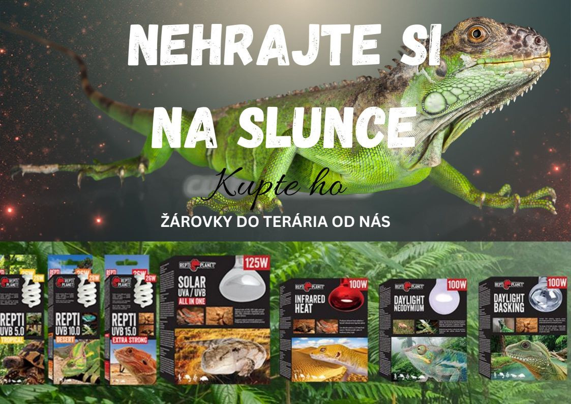 Terarijní žárovky a zářivky