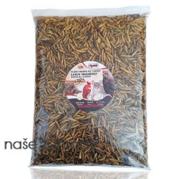 Apetit BLACK SOLDIER FLY LARVEA 500g